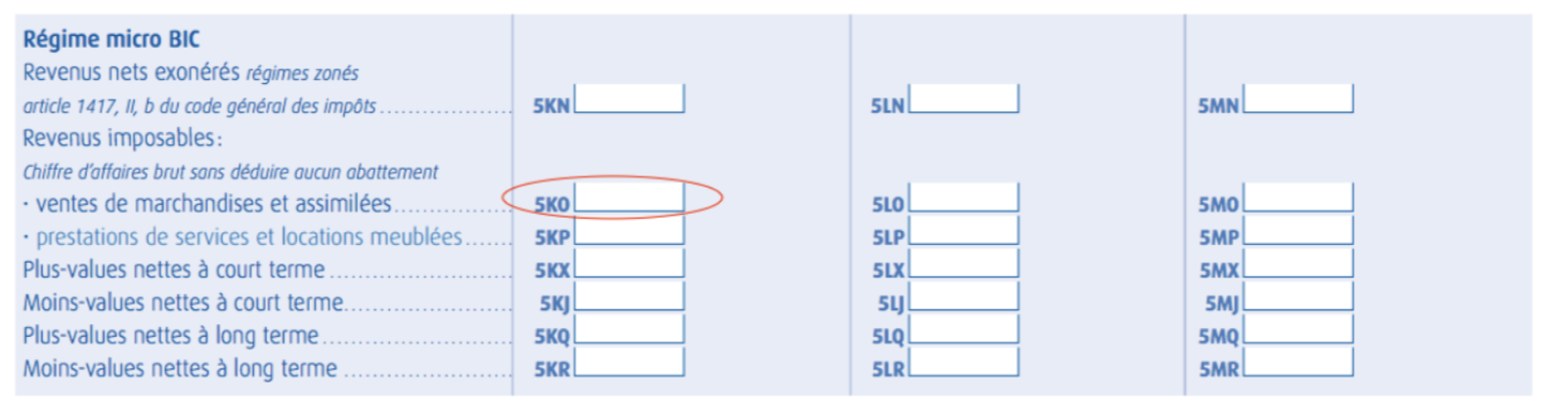 LMNP et LMP : comment remplir le 2042 C Pro
